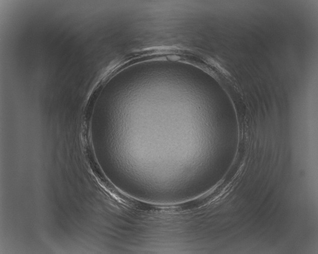 X0000054381357200507291106