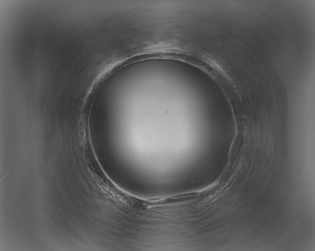 X0000054381358200507291106