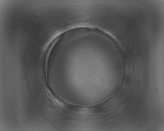 X0000054381359200507291106