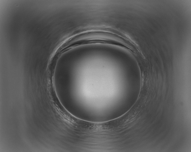 X0000054381360200507291106