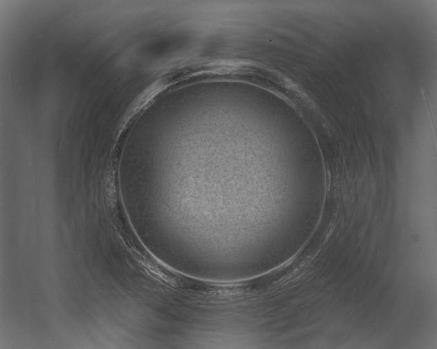 X0000054381362200507291106