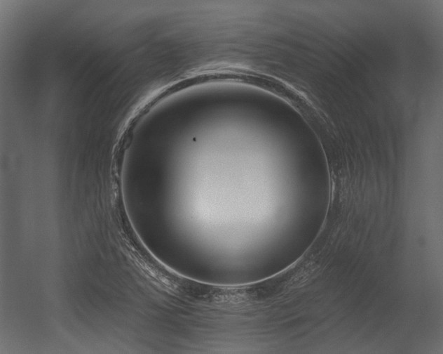 X0000054381363200507291106