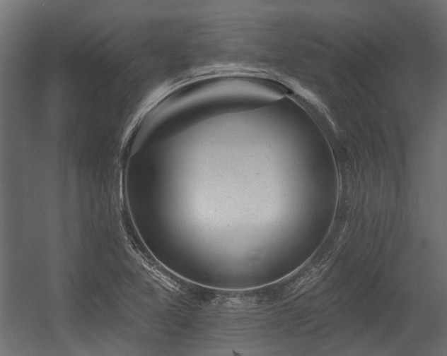 X0000054381365200507291106