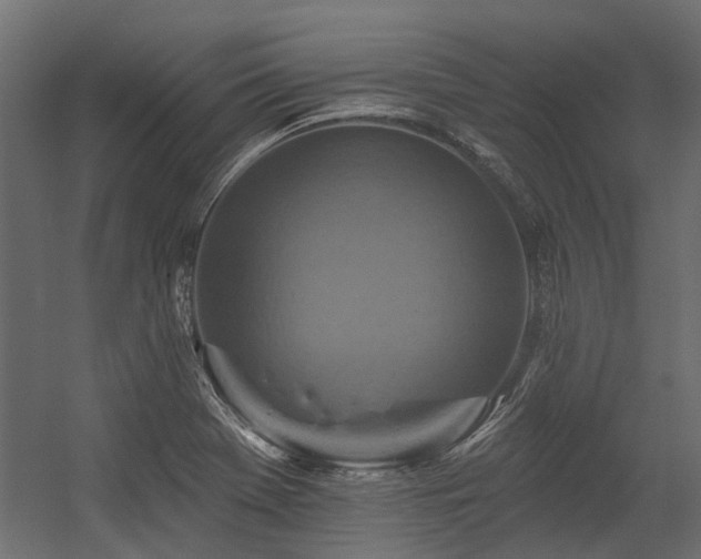 X0000054381369200507291106