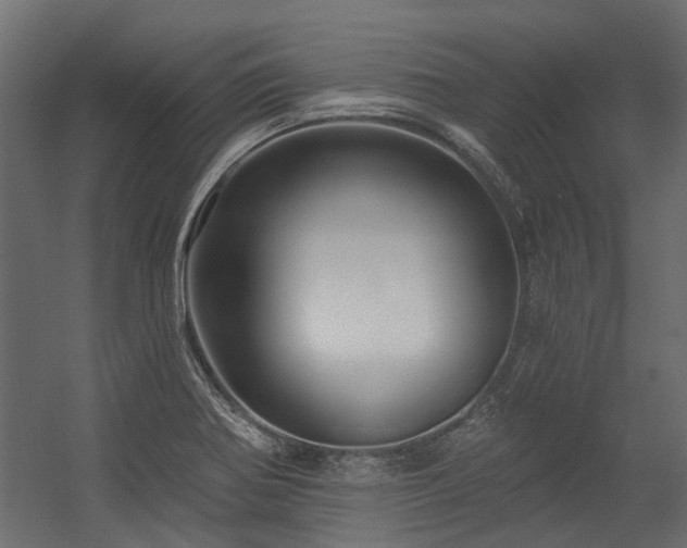 X0000054381370200507291106