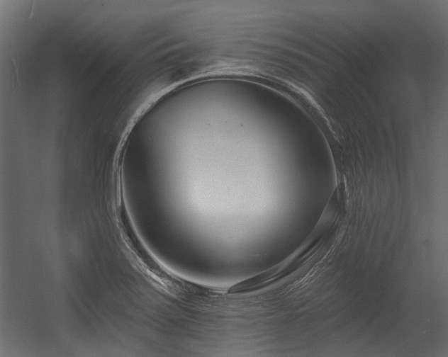 X0000054381371200507291106