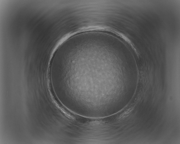 X0000054381373200507291106