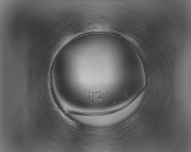 X0000054381375200507291106
