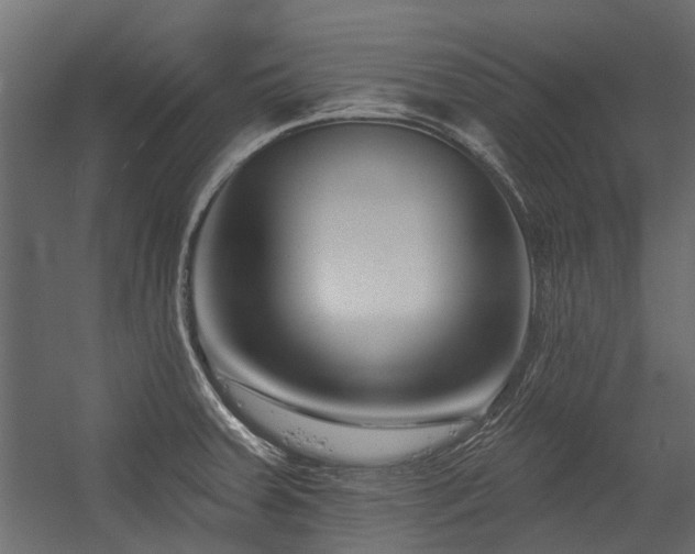 X0000054381379200507291106