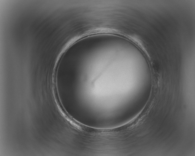 X0000054381381200507291106