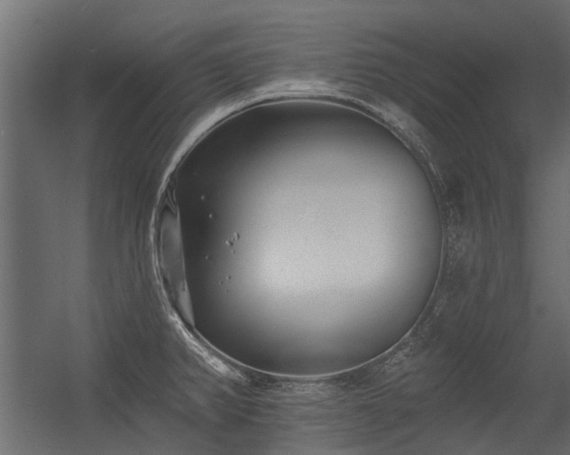X0000054381382200507291106