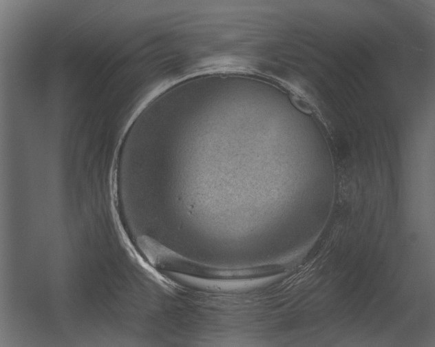 X0000054381383200507291106