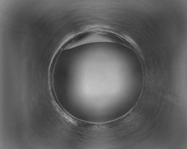 X0000054381384200507291106