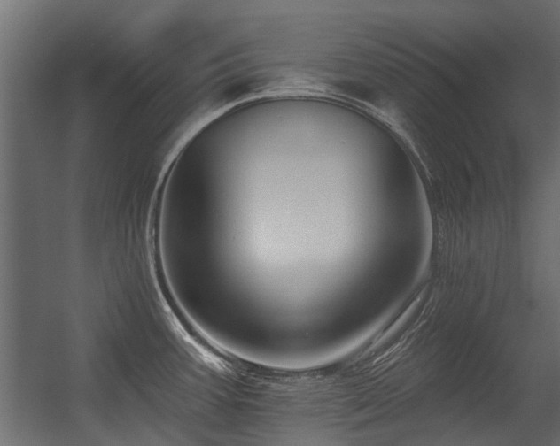 X0000054381387200507291106