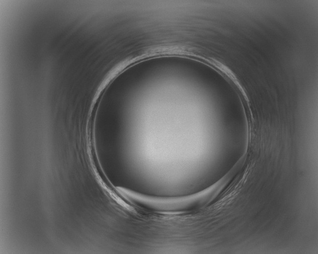X0000054381389200507291106