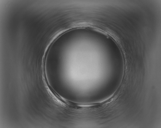 X0000054381392200507291106