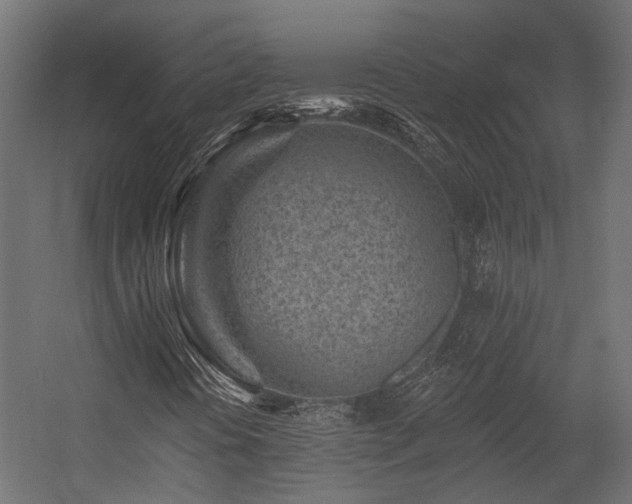 X0000054381394200507291105