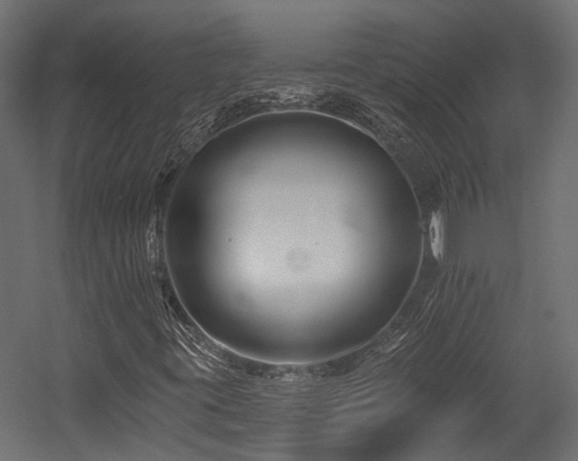 X0000054381395200507291105