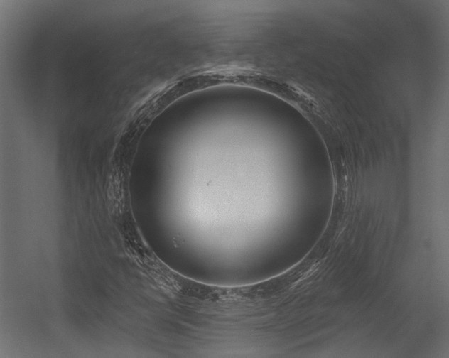X0000054381398200507291105