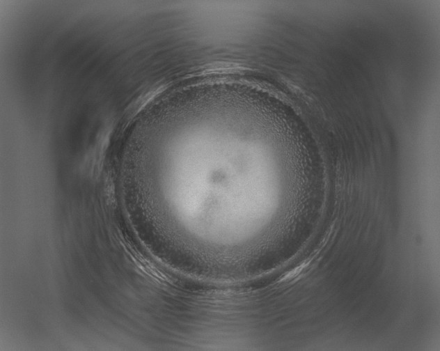 X0000054381401200507291105