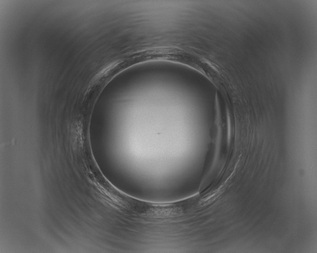 X0000054381402200507291105