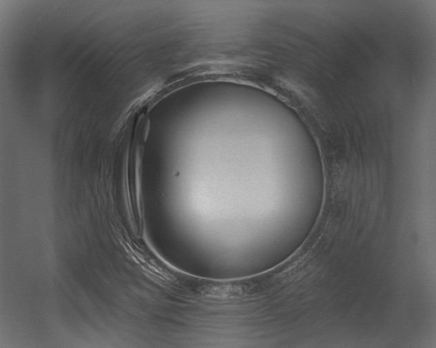 X0000054381403200507291105