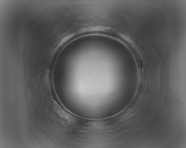 X0000054381404200507291105
