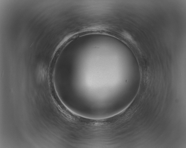 X0000054381412200507291105