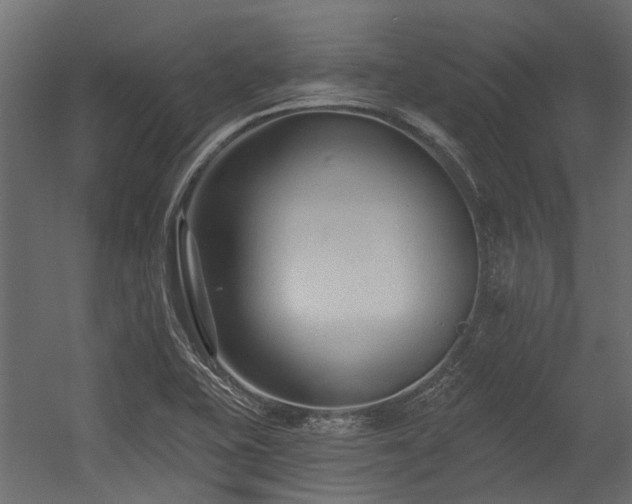 X0000054381415200507291105