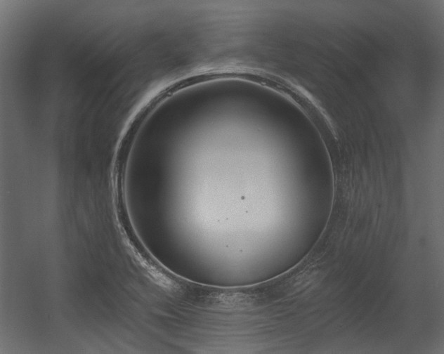 X0000054381416200507291105