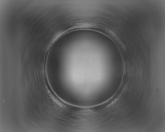 X0000054381417200507291105