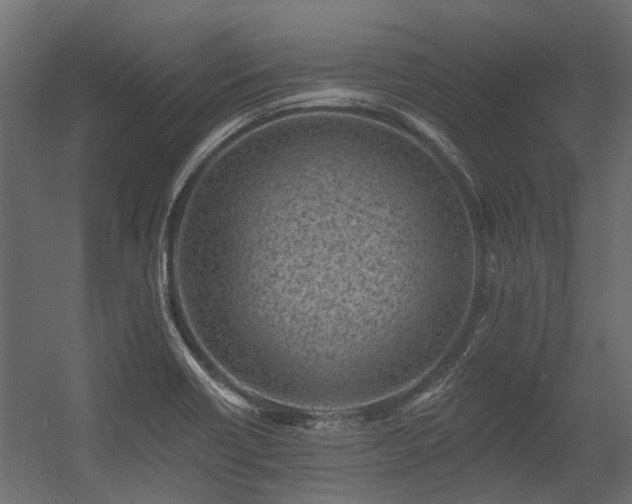 X0000054381418200507291105