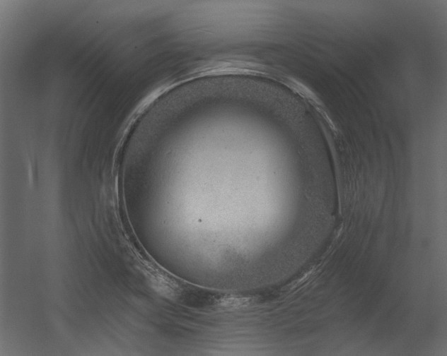 X0000054381419200507291105