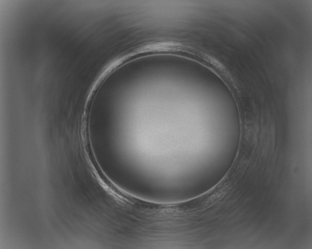 X0000054381421200507291105