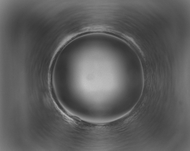 X0000054381424200507291105