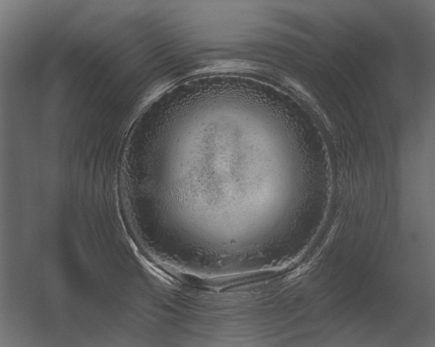 X0000054381425200507291105