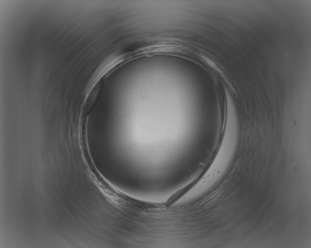 X0000054381426200507291105