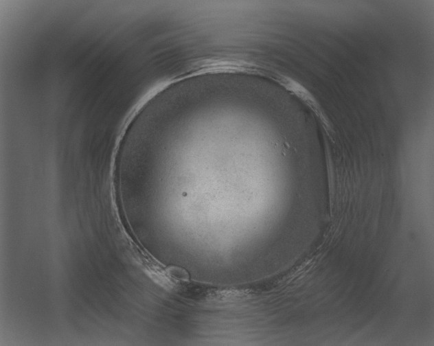 X0000054381427200507291105