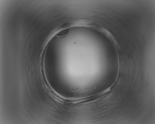 X0000054381435200507291106