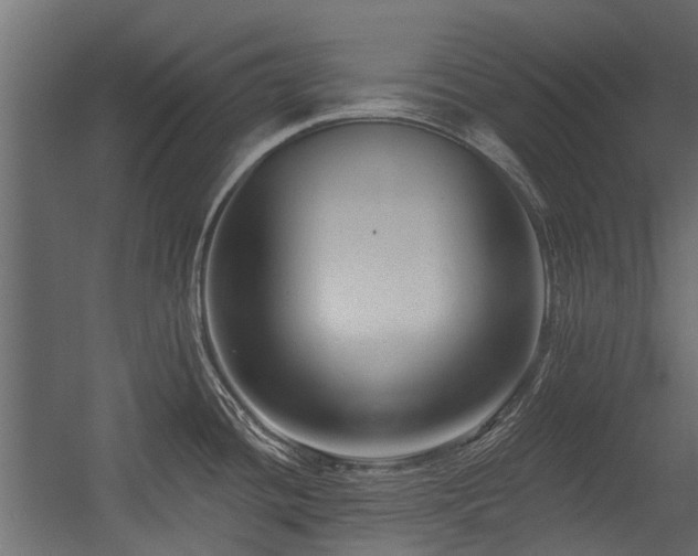 X0000054381436200507291106