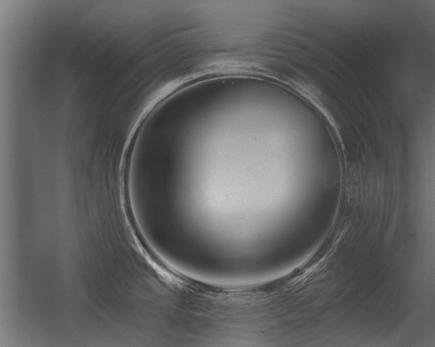 X0000054381437200507291106