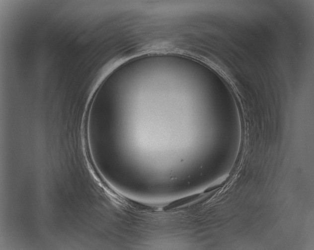 X0000054381440200507291106