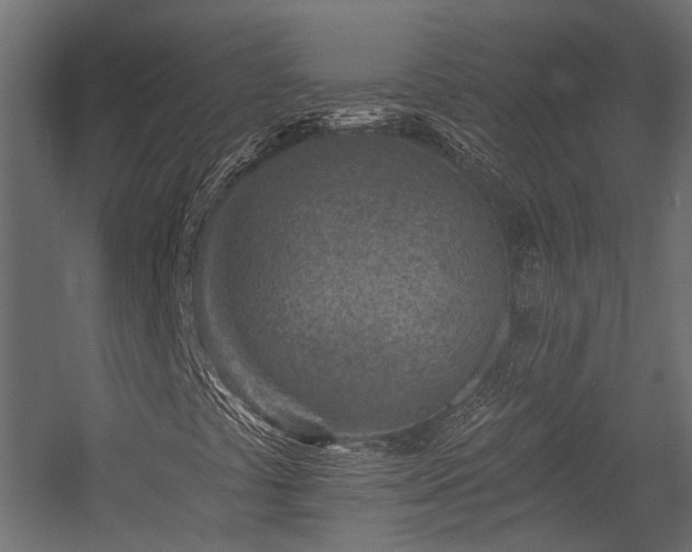 X0000054381441200507291105
