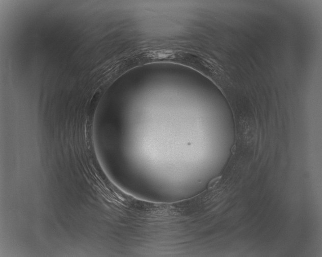 X0000054381442200507291105