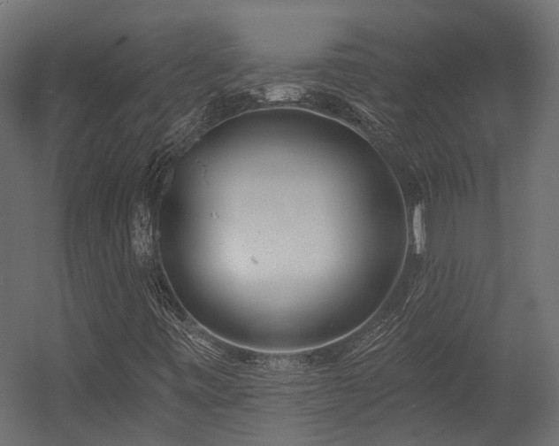 X0000054381443200507291105