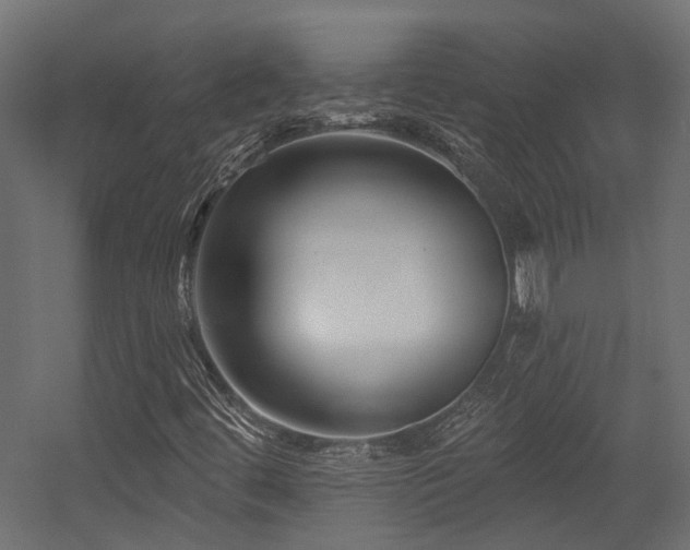 X0000054381444200507291105