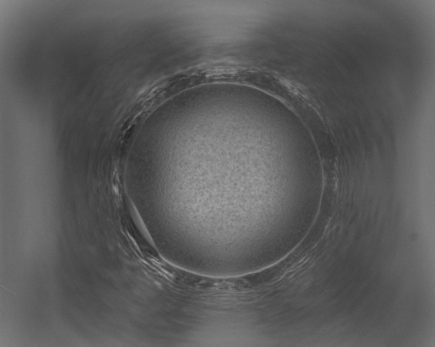 X0000054381445200507291105
