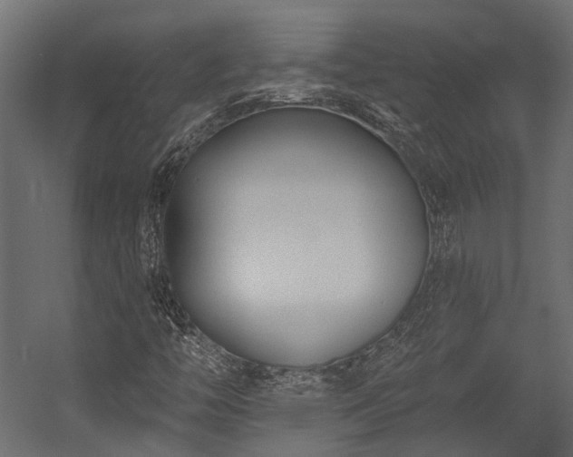 X0000054381446200507291105