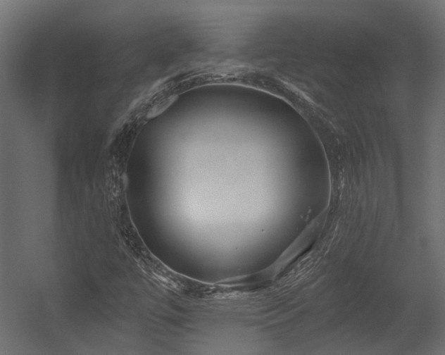 X0000054381447200507291105