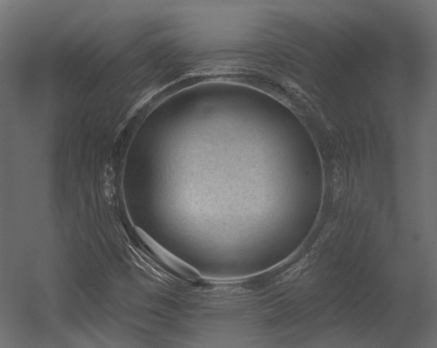 X0000054381449200507291105
